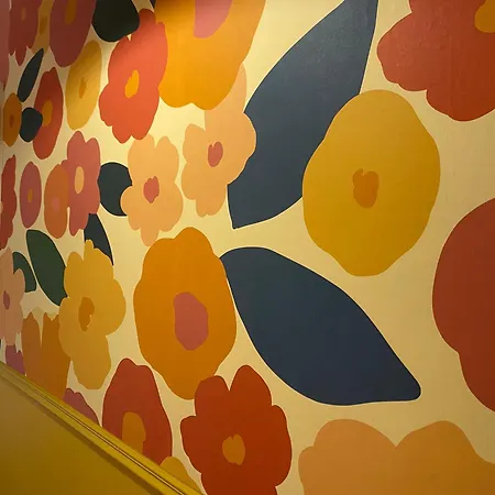 Appt O En Couleurs Auch